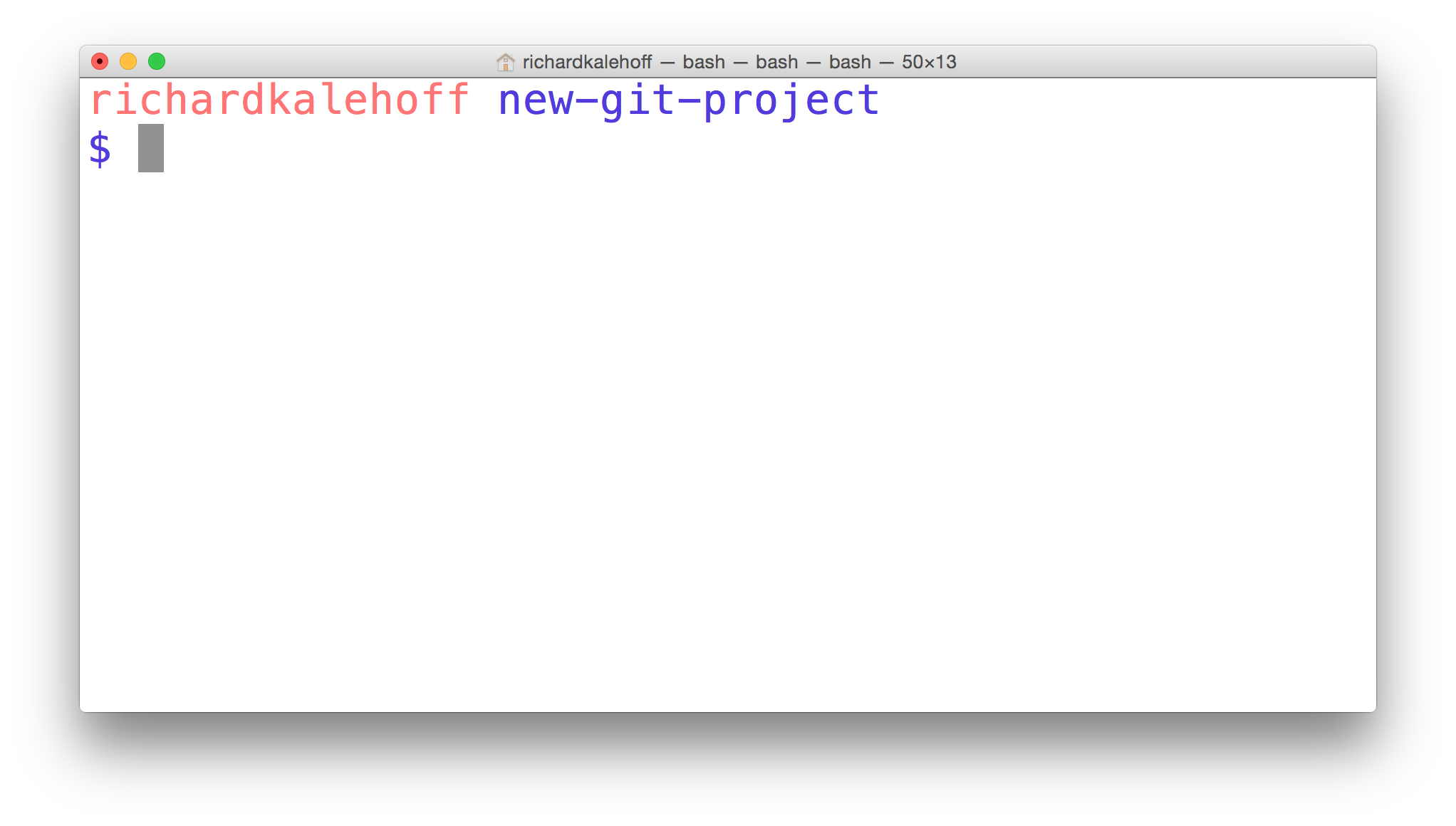 _The Terminal application located in the new-git-project directory._